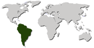 Ареал: горы Южной Америки