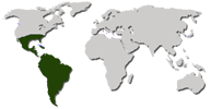 Юг Северной Америки, Южная Америка