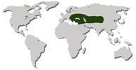 Ареал: Средиземноморье, Восточная Европа, часть Азии, Кавказ
